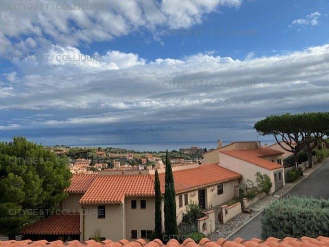 6Amb38 Villa Avec Terrasse Dans Residence Avec Piscine Commune 科利尤尔 外观 照片