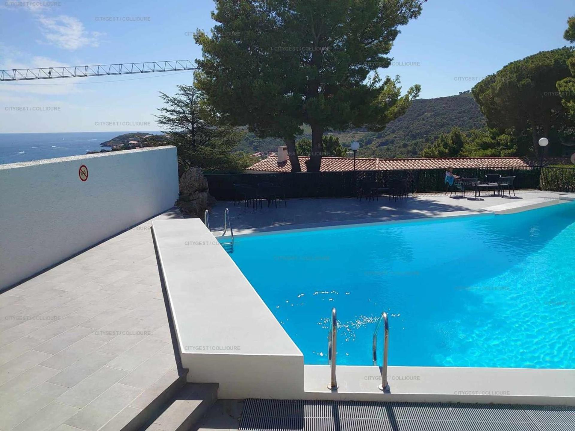 6Amb38 Villa Avec Terrasse Dans Residence Avec Piscine Commune 科利尤尔 外观 照片